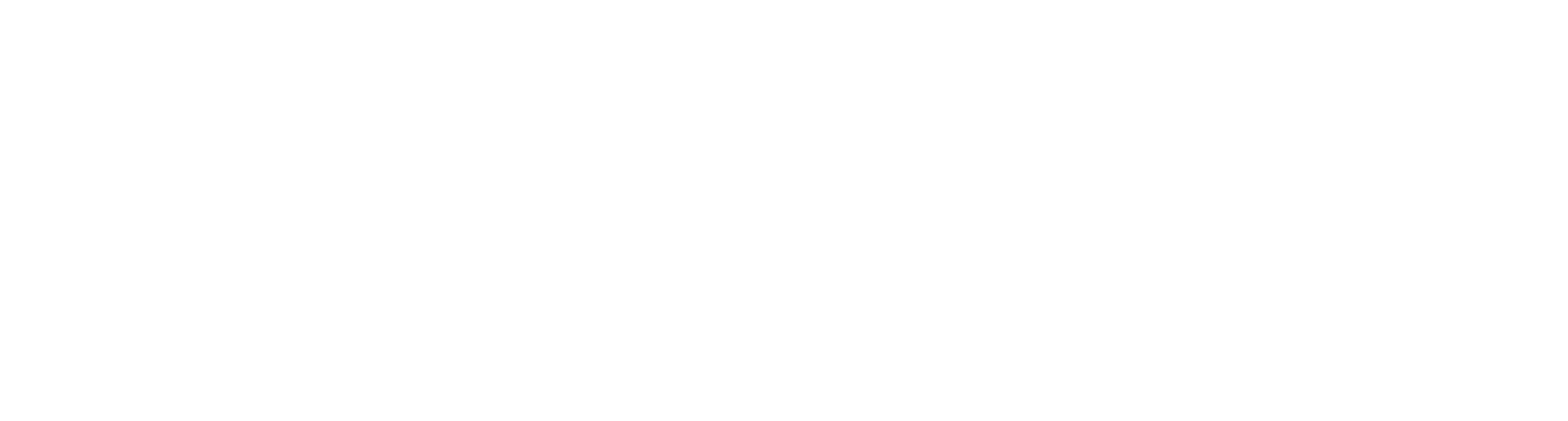 The Promise